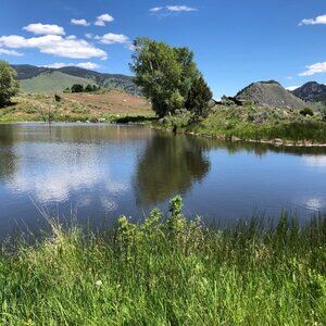 Meet your Posher, Lacy